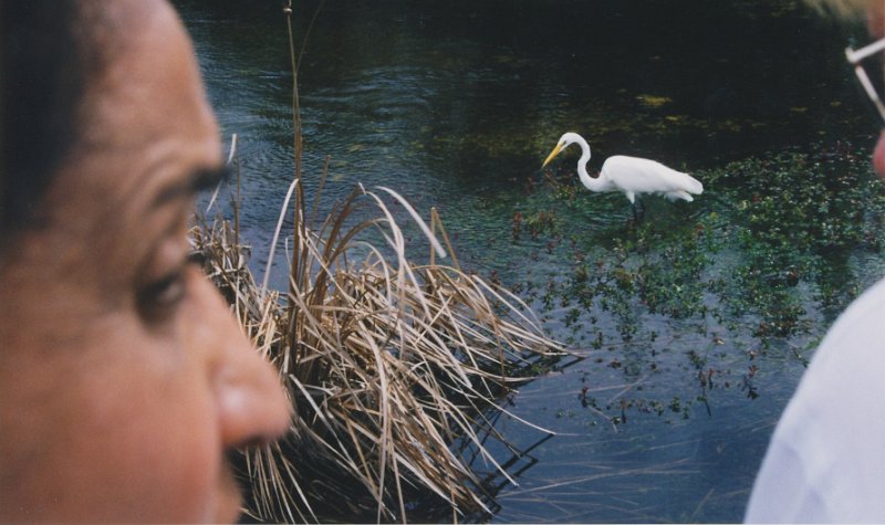 007-Everglades National Park.jpg